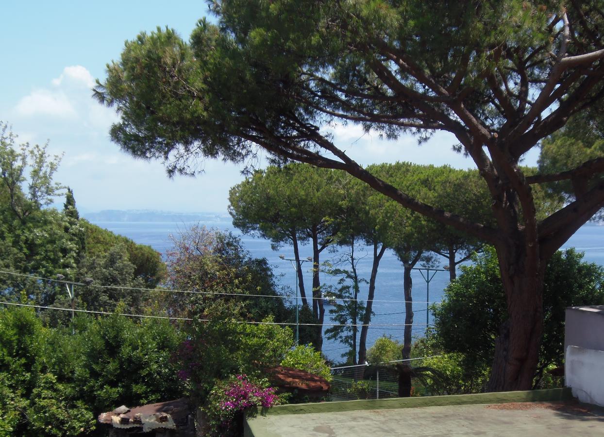 Villa Cinque Pini Casamicciola Terme Exterior photo